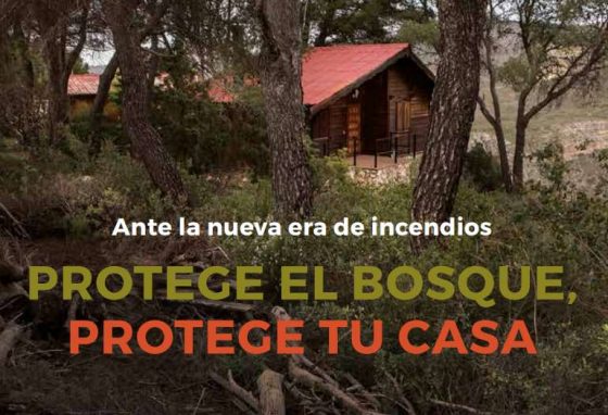 Protege el bosque, protege tu casa: miles de voluntarios se movilizan para prevenir incendios forestales