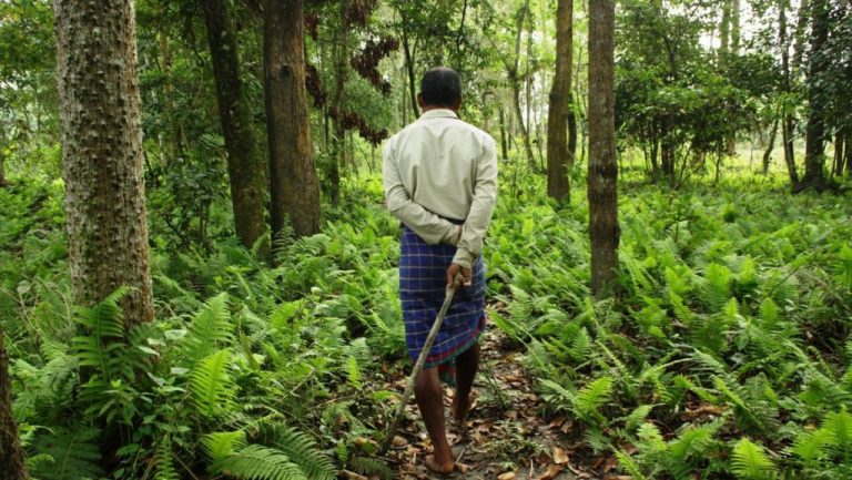 Pasó los últimos 40 años de su vida plantando árboles en una isla desierta y esto fue lo que pasó