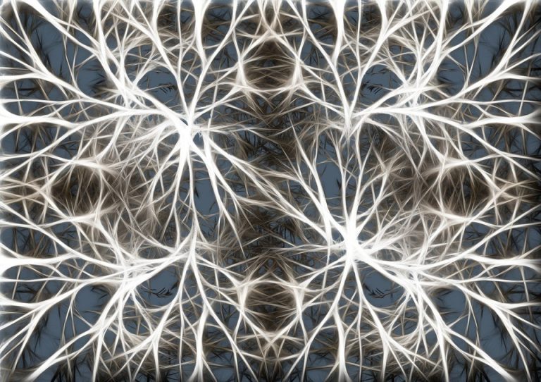 La longevidad y la madurez sexual podría depender más del cerebro que del cuerpo