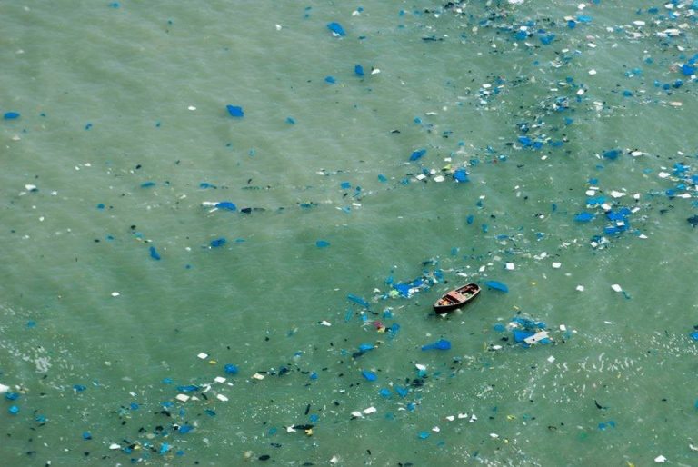 Resolución histórica del Parlamento Europeo para reducir la contaminación por plásticos