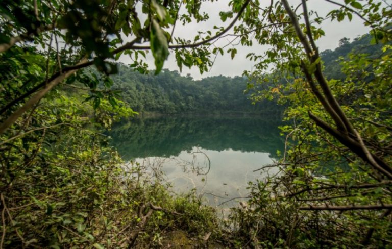 Este país recuperó más de 12 000 hectáreas de bosques en 5 años