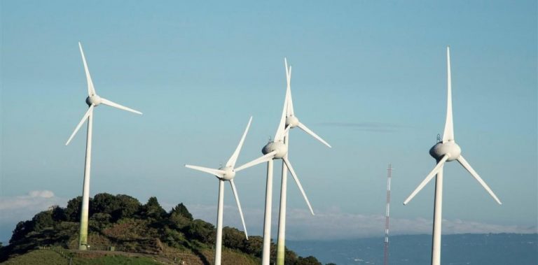 Energía eólica: una de las renovables que más creció en el país