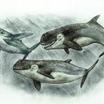 Ilustración-de-la-bestía-marina-de-Río-Negro-Sebastián-Rozadilla