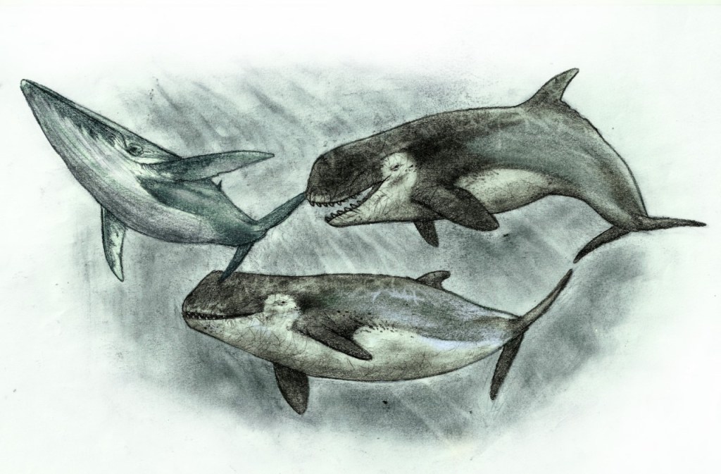 Ilustración de la bestía marina de Río Negro Sebastián Rozadilla