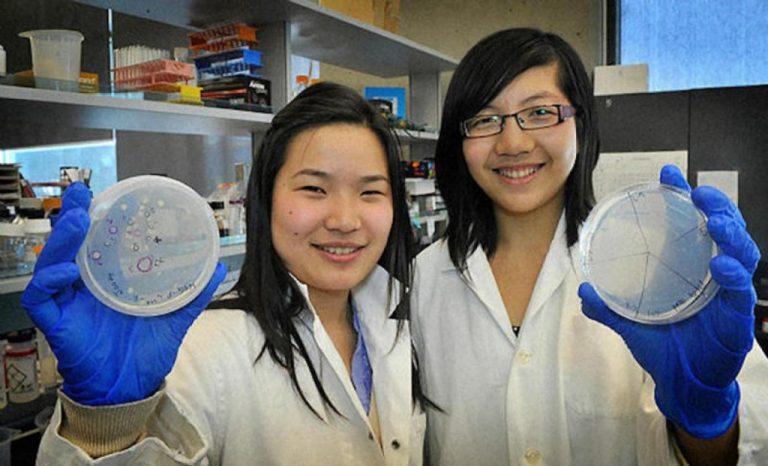 Jóvenes crean una bacteria que come plástico de los océanos y lo convierte en agua