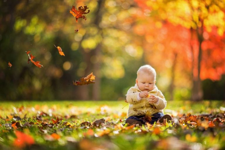 En Bélgica plantarán un árbol por cada niño que nazca