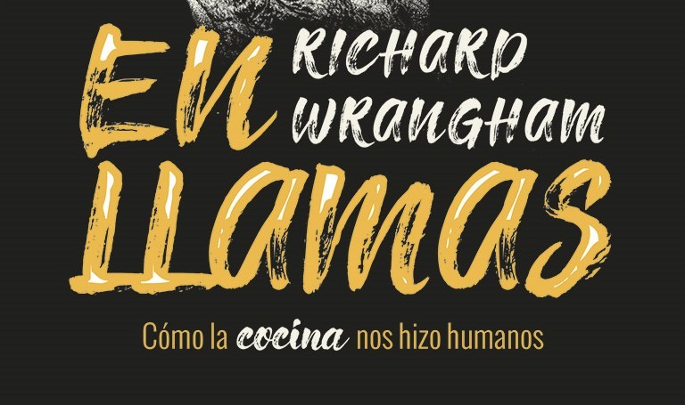 Libros que nos inspiran: 'En llamas. Cómo la cocina nos hizo humanos' de Richard Wrangham