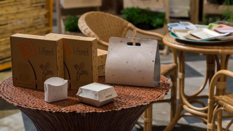 En Colombia crean platos biodegradables que germinan al desecharlos