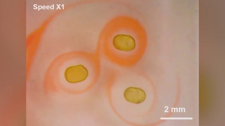 Un nuevo material con propiedades magnéticas similares a los imanes sólidos pero con características líquidas
