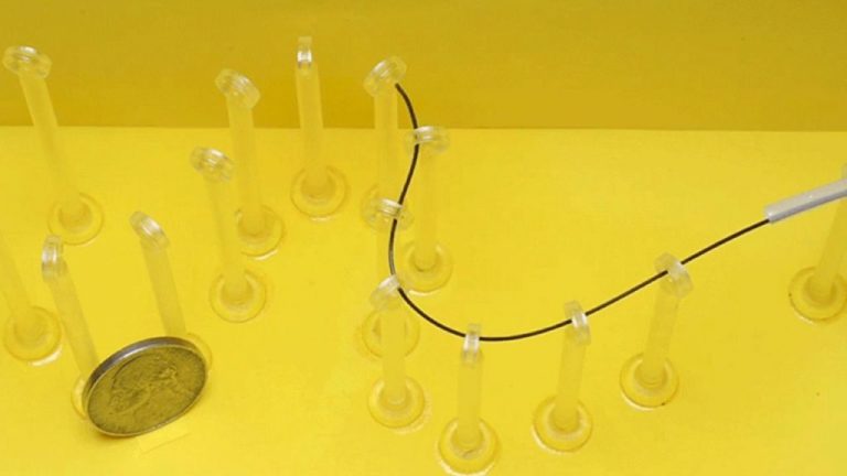 Crearon un gusano robot para explorar el interior del cerebro humano