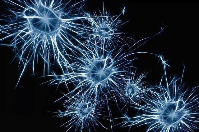 Cómo se descubrió el lenguaje secreto de las neuronas y la primera persona que pudo escucharlo