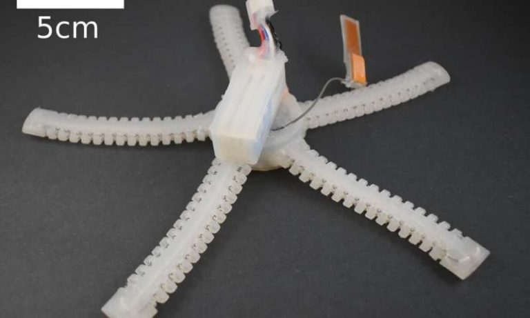 La estrella de mar inspira un robot blando autónomo subacuático
