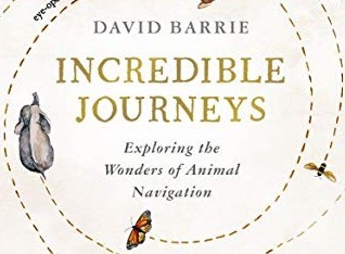 Libros que nos inspiran: 'Los viajes más increíbles' de David Barrie
