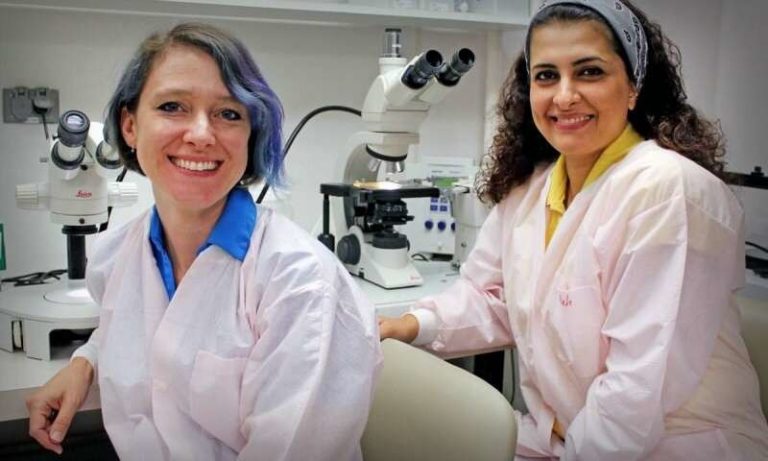 Por primera vez, lo consigue la primera secuencia completa de un cromosoma humano X