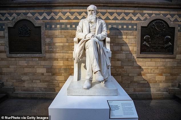Lo políticamente correcto llega al Museo de Historia Natural de Londres: se propone revisar algunas exposiciones de Charles Darwin