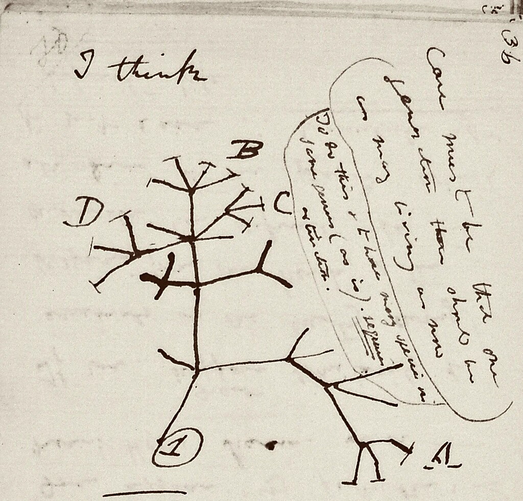El icónico boceto del árbol de la vida de Charles Darwin y se pide ayuda para localizarlo
