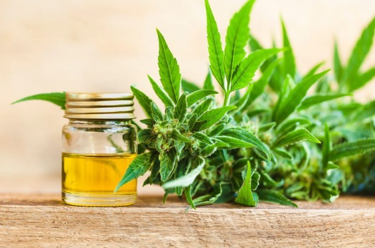 Mendoza es la primera provincia en reglamentar el cultivo de cannabis para uso medicinal