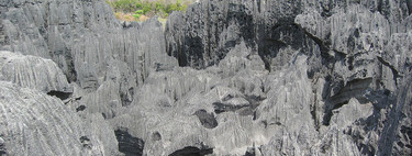El "Bosque de piedra" más grande del mundo se encuentra en la isla más antigua del mundo