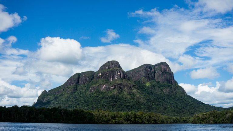 Más de 300 años de la llegada de los europeos al Nuevo Mundo, la Amazonia ya había sido despoblada y reforestada