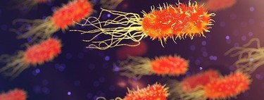 El 92 % de las personas no conoce la diferencia entre los virus y las bacterias, según una encuesta australiana