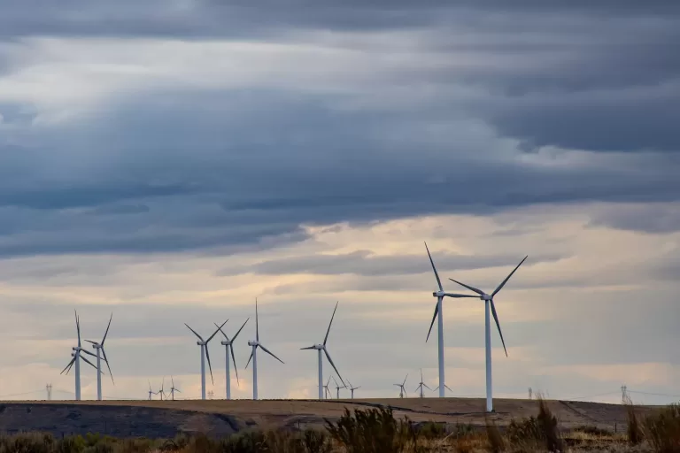 Las renovables alcanzaron un nuevo récord del 24,11% de participación en el mercado eléctrico