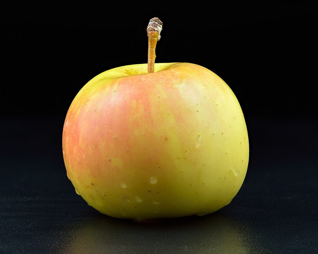 Comer una manzana al día es probablemente uno de los mejores consejos nutricionales