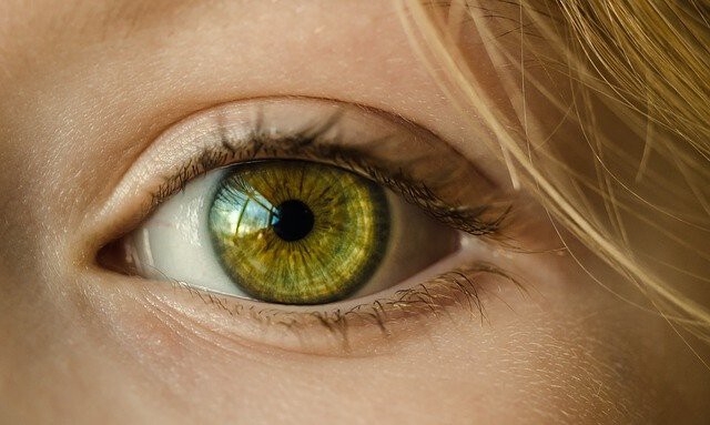 Gracias a la inteligencia artificial se puede detectar glaucoma en una prueba de solo 10 segundos