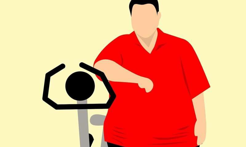 Independientemente de la masa corporal, las mujeres se sienten más estigmatizadas por su grasa abdominal que los hombres