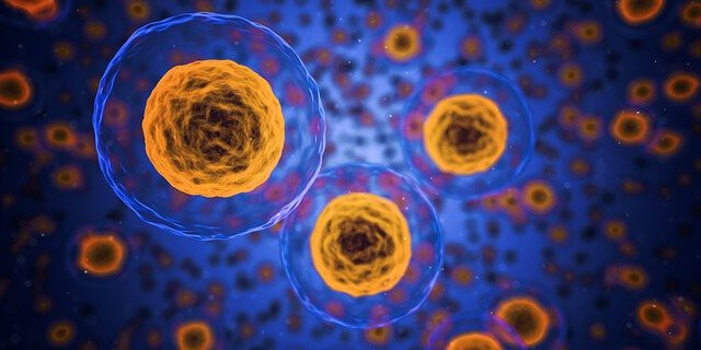 Se desarrolla una biblioteca de células madre pluripotentes inducidas por humanos de seres humanos sanos para estudiar enfermedades