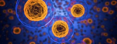 Se desarrolla una biblioteca de células madre pluripotentes inducidas por humanos de seres humanos sanos para estudiar enfermedades