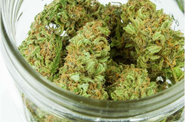 El cannabis medicinal tiene un enorme potencial terapéutico, pero aún faltan estudios fiables