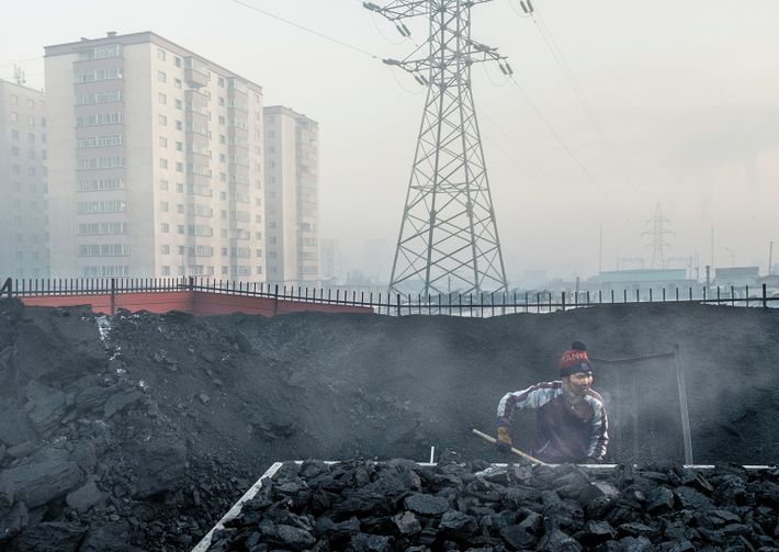 En las calles de Ulán Bator (Mongolia) se vende carbón, que luego contamina el aire cuando ...