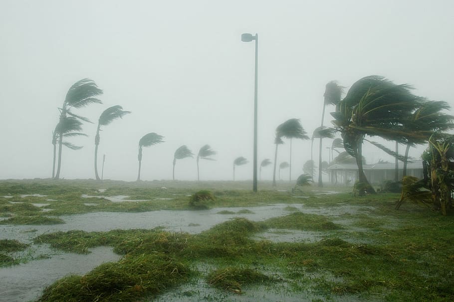¿Qué es y cómo nace un ciclón?