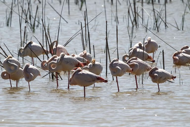 Día Europeo de la Red Natura 2000 2022