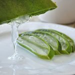 aloe-aloevera-leaf-gel-plant-drink