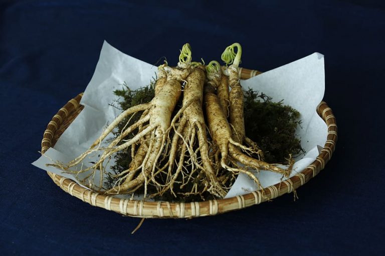 Superalimentos que protegen tu piel