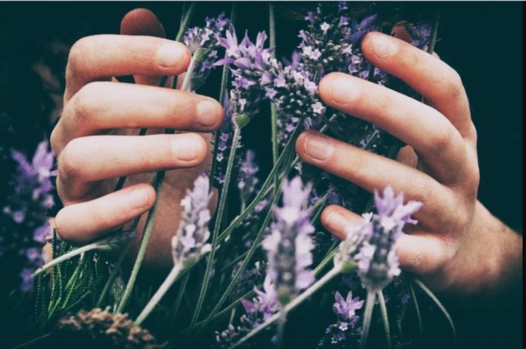 Cómo equilibrar los chakras con plantas