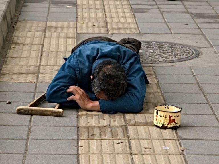 Día Mundial de la Alimentación 2022
