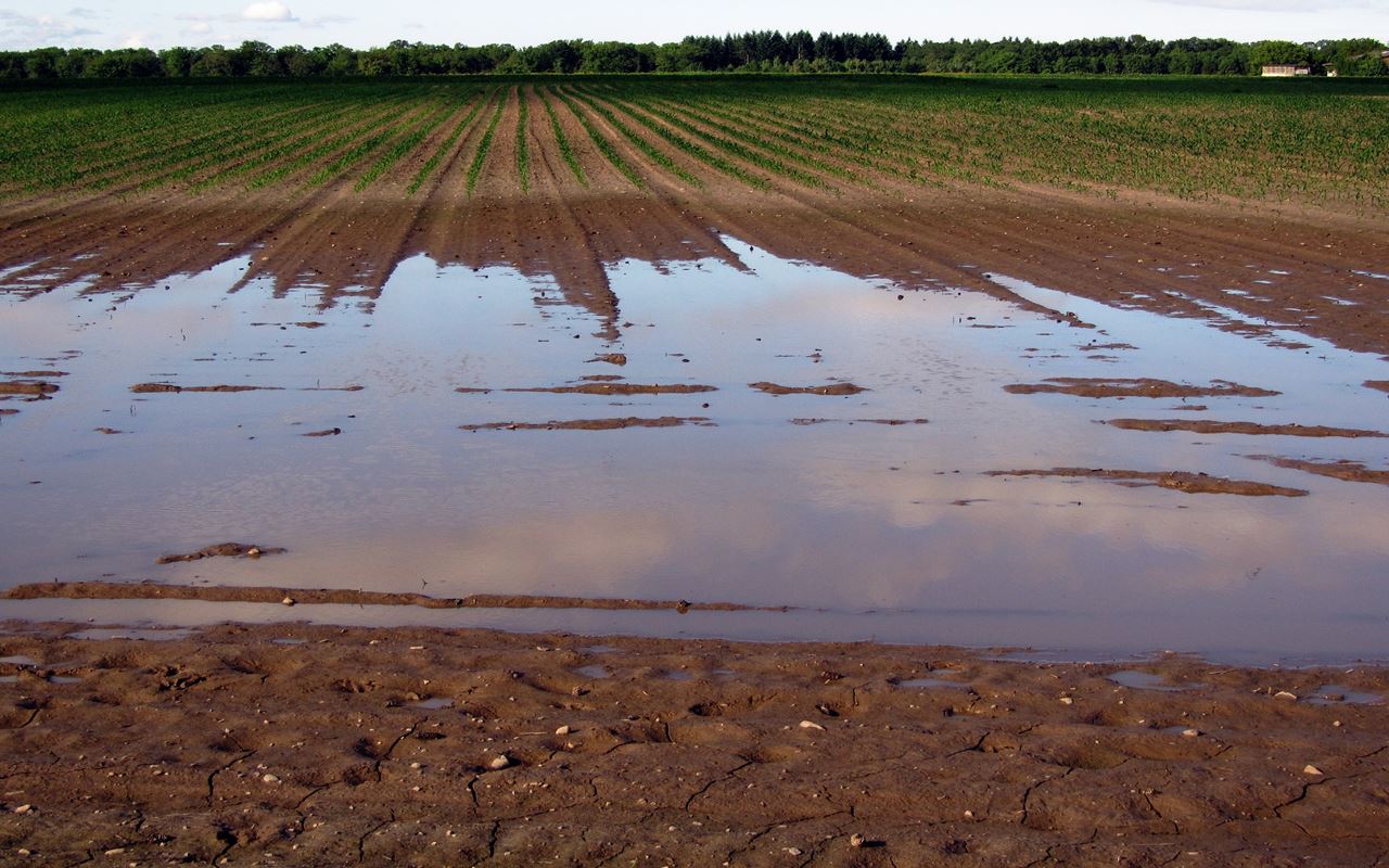 campo cultivos inundaciones