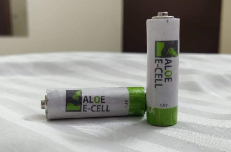 Jóvenes crean la primera pila de aloe vera, libre de químicos y más duradera que la convencional