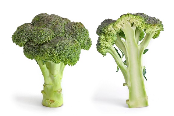 Brócoli un alimento imprescindible