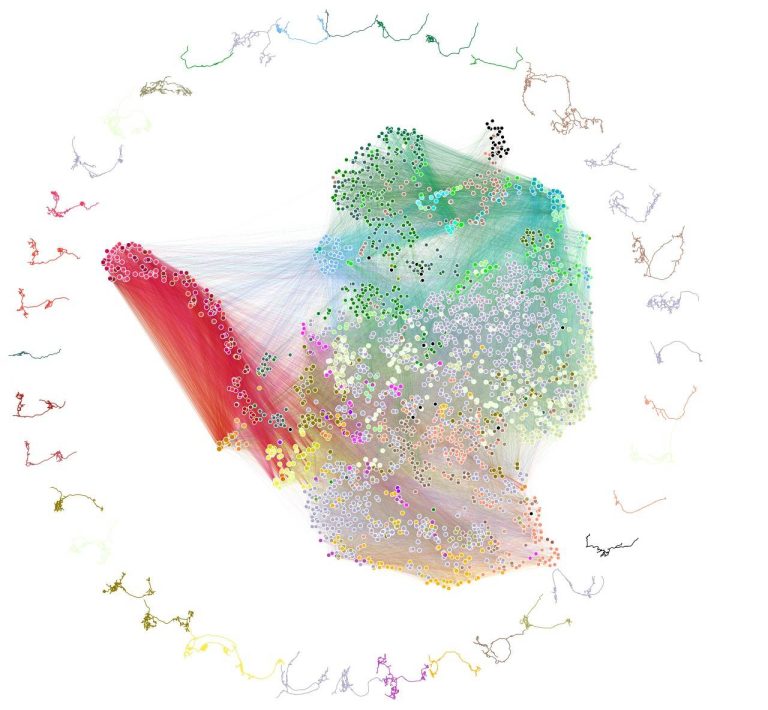 Primer mapa del cerebro de un insecto