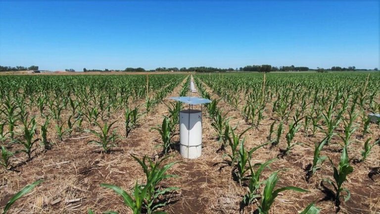 Producir con beneficios para los agroecosistemas y el planeta