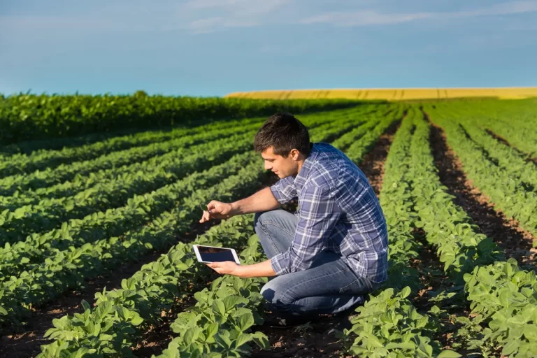 ¿Qué hace un ingeniero agrónomo? Una antigua pregunta que tiene nuevas respuestas
