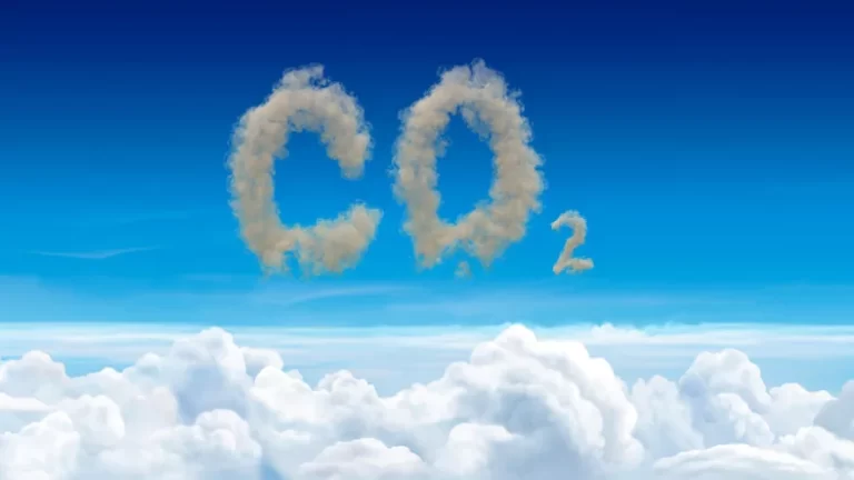 ¿Son los métodos de eliminación de carbono la clave para hacer frente al cambio climático?