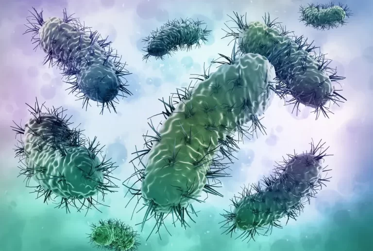 Bacterias modificadas genéticamente para buscar y destruir tumores