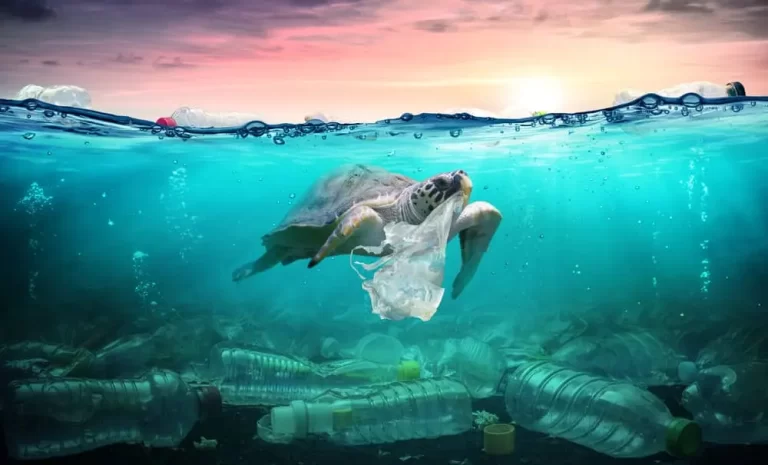 Se detectan ‘hileras de basura marina’ en zonas de especial conservación de Canarias