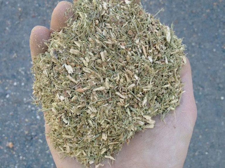 Pellets de biomasa de pino: nueva herramienta para prevenir incendios