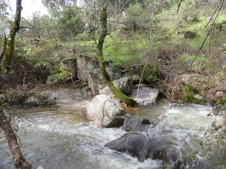 Qué está pasando con el embalse de Los Peñascales