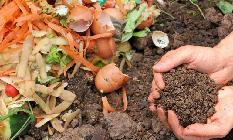 Compost Doméstico, Ecológico y Económico